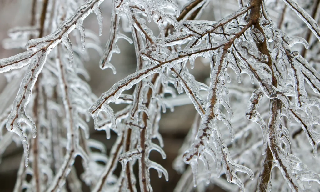 School Closed for Winter Weather Conditions